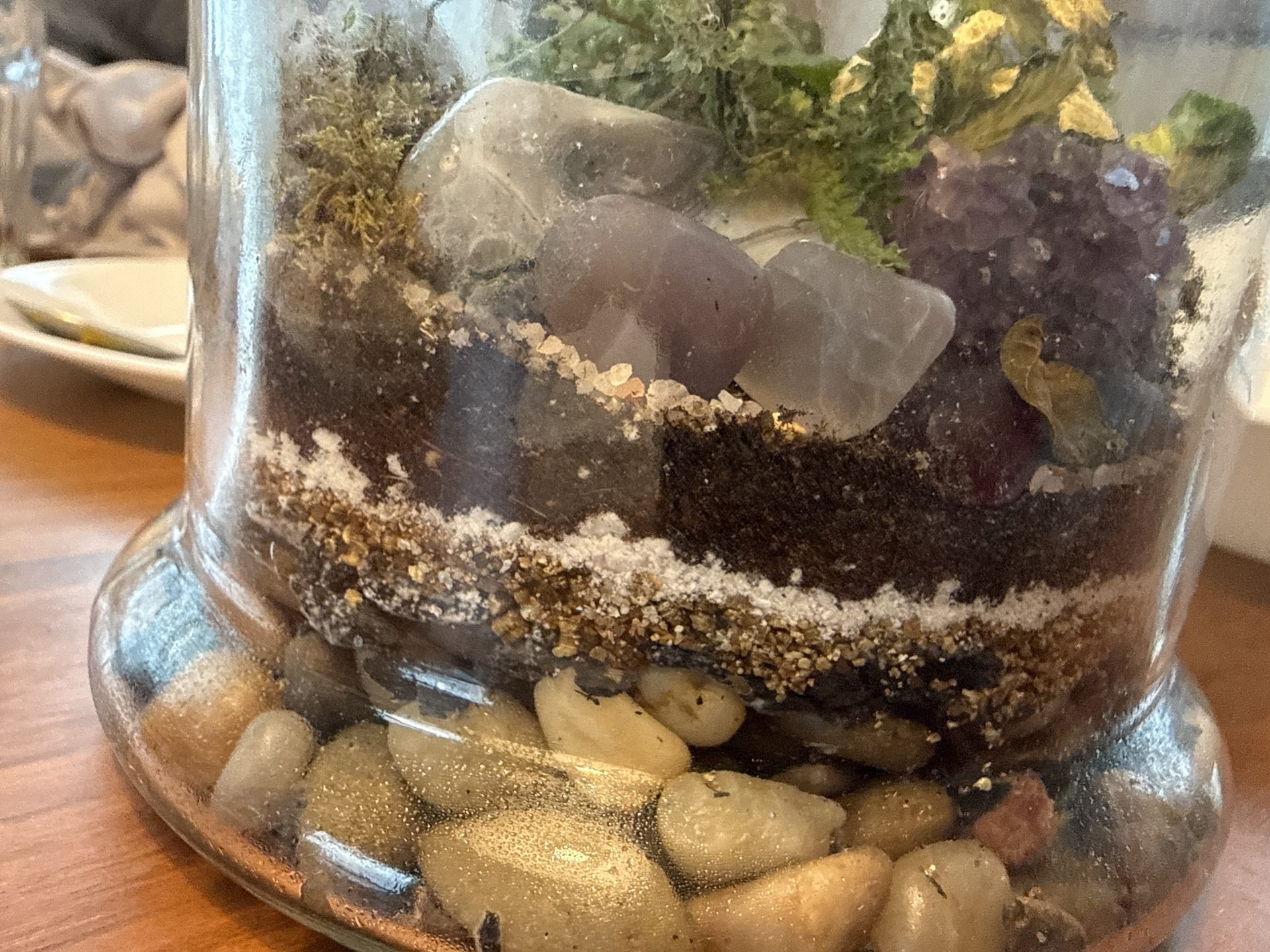 Glass terrarium with layered soil, amethyst crystals, quartz, moss, and small plants from the Charleston City Market