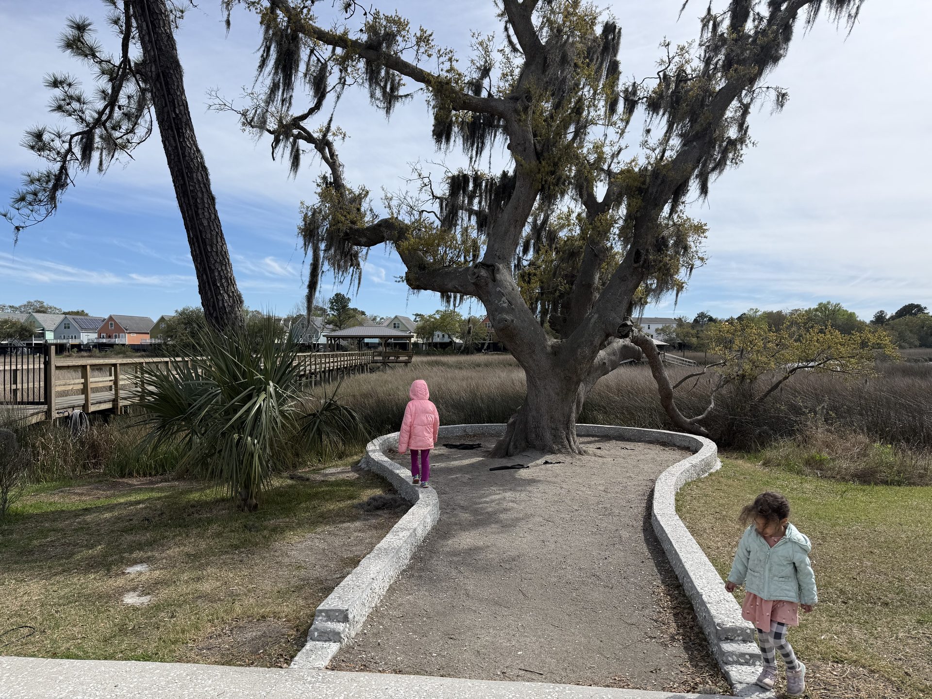 Two children walking away from camera under a massive live oak draped in Spanish moss at Holy City Brewing