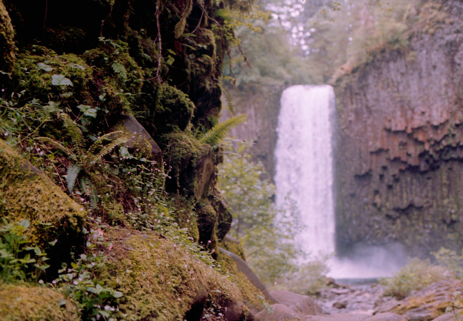 Misty Pacific Northwest waterfall through a moss-covered canyon, Bend Oregon — Kodak Portra 400