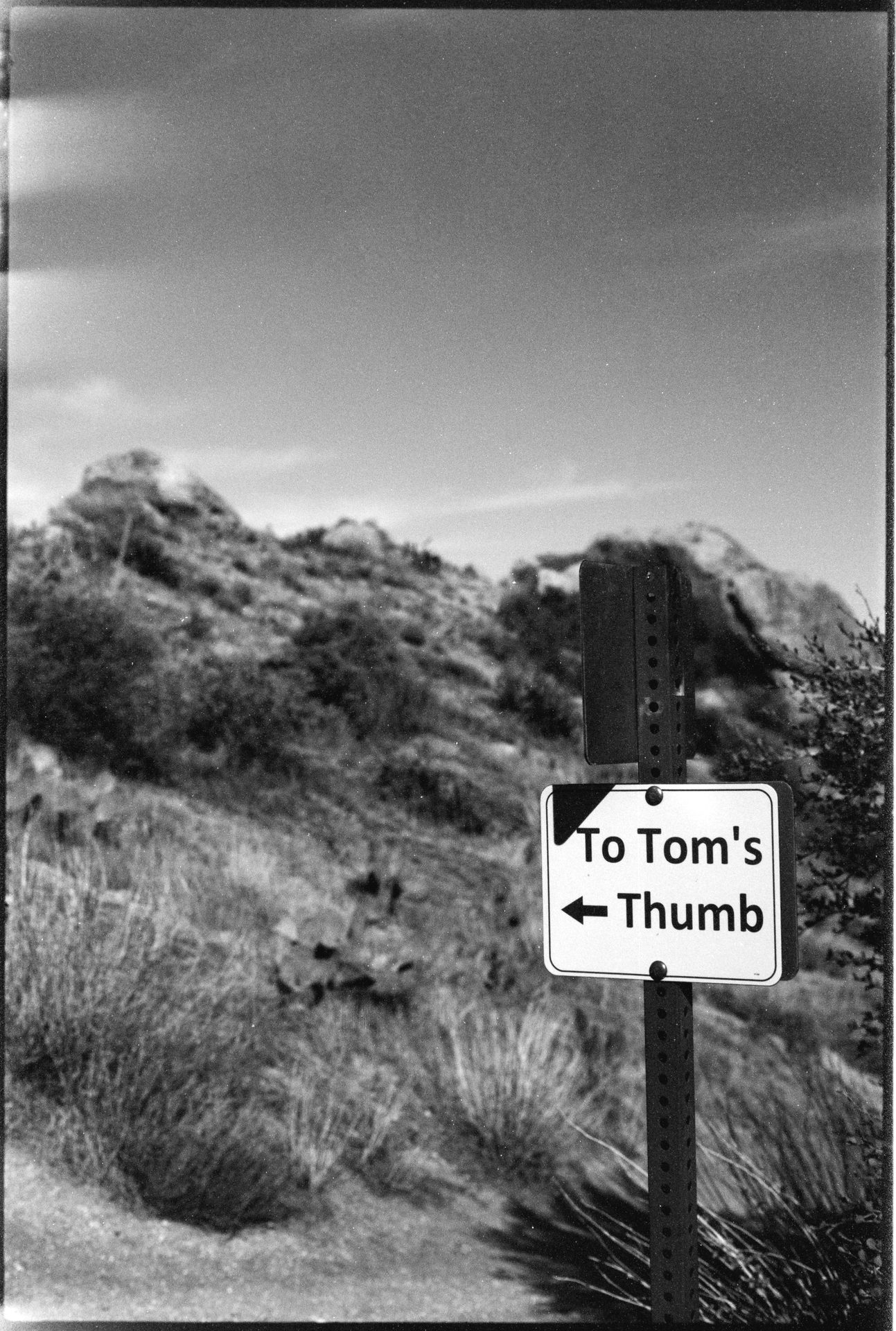 Trail sign reading To Tom's Thumb in the Arizona desert — B&W film