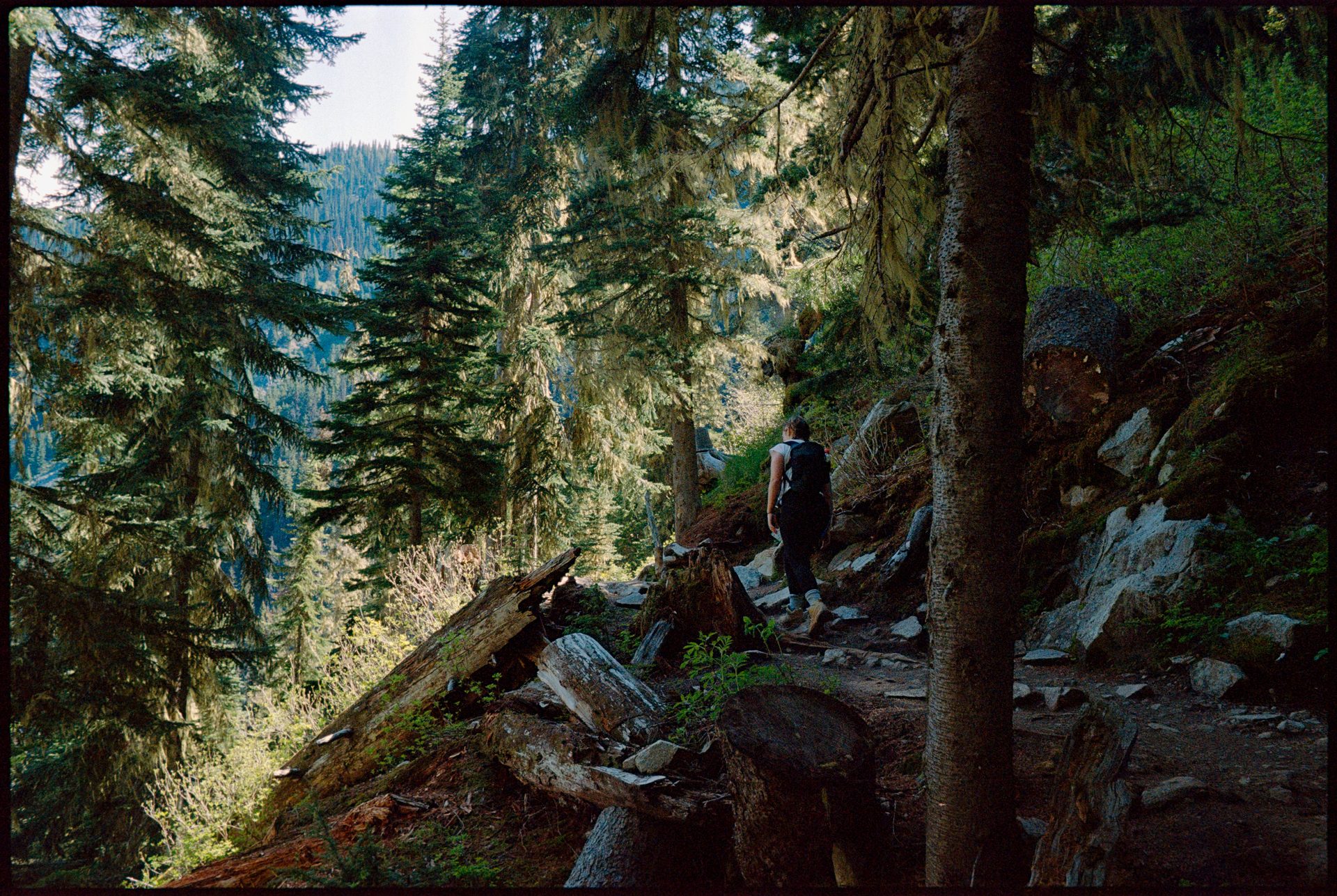 Hiker climbing rocky trail through old-growth forest, light streaming through canopy — Kodak Portra 800