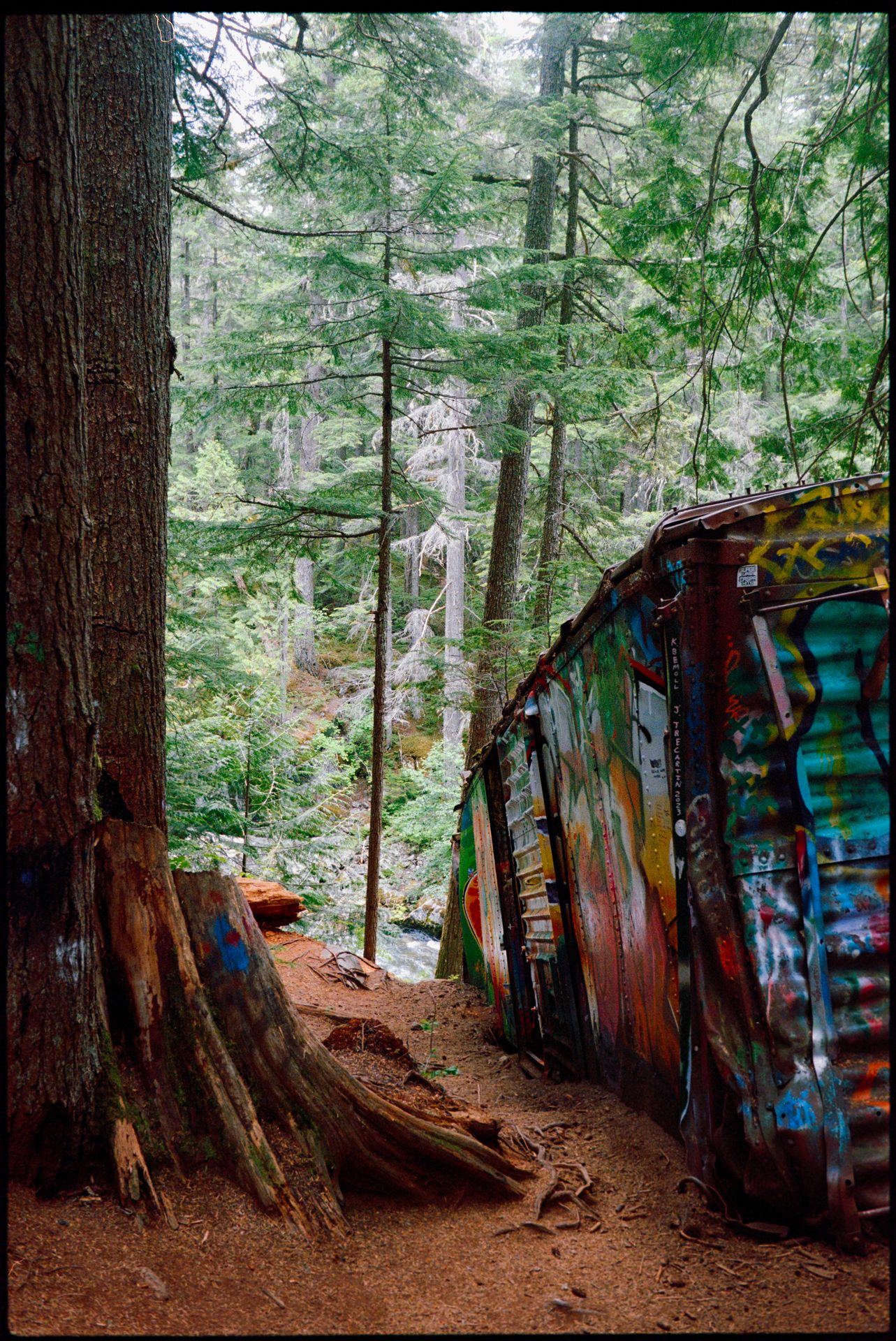 Abandoned train car covered in graffiti in old-growth forest, Whistler BC — Kodak Portra 800
