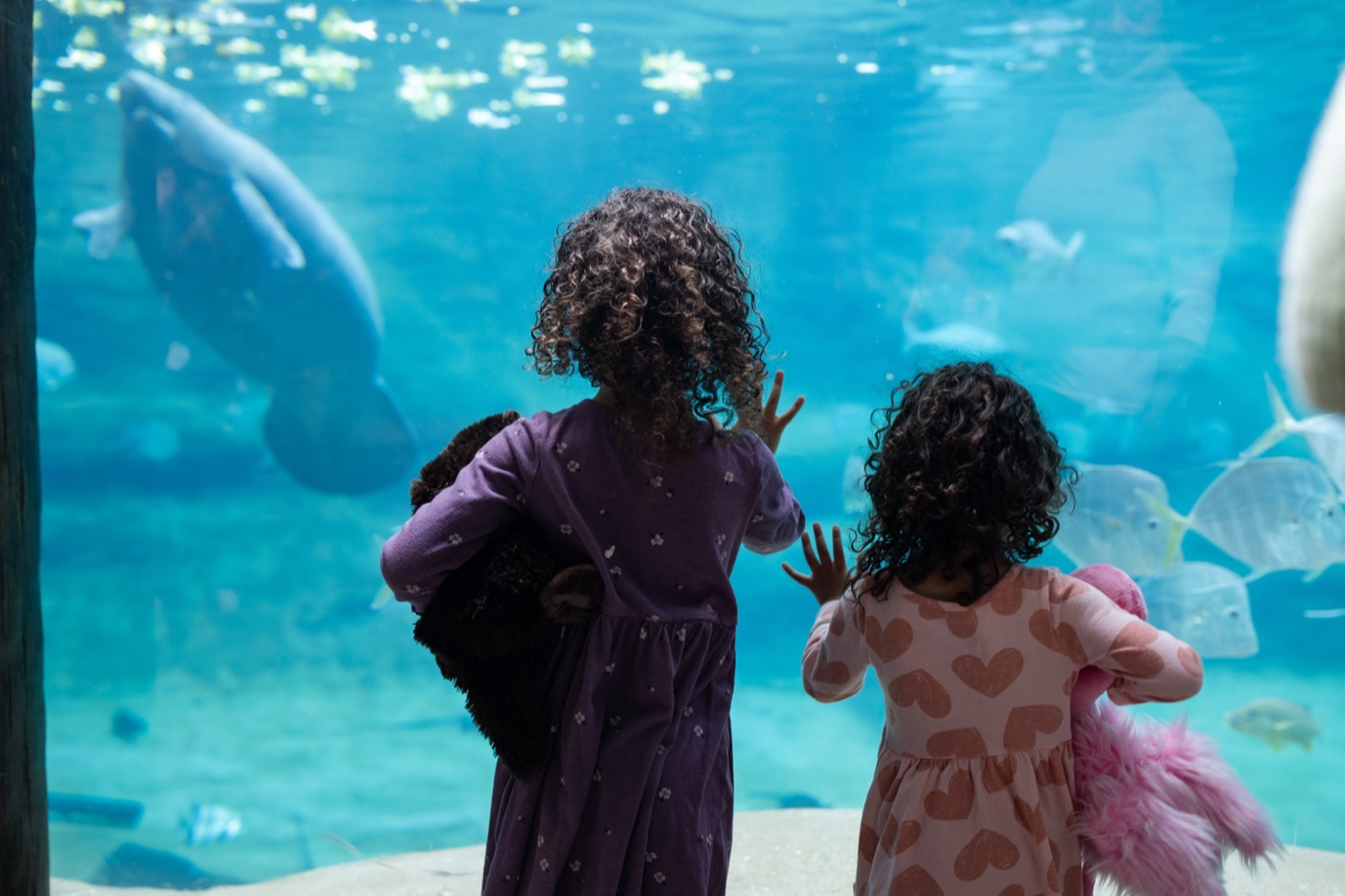 Two young girls watching fish through the aquarium glass at the Columbus Zoo